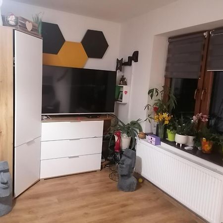 Willa Na Gorce Szczyrk Kültér fotó